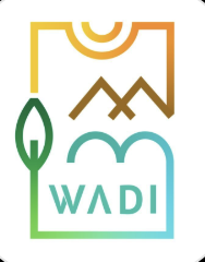 Guide Image